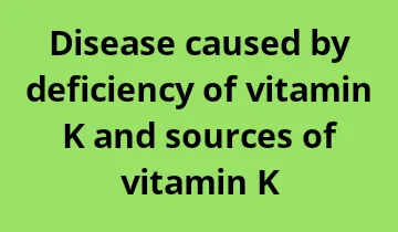 which disease caused by deficiency of vitamin K, best source of Vitamin K, rich source of Vitamin K, the best source of Vitamin K, what are the sources of Vitamin K