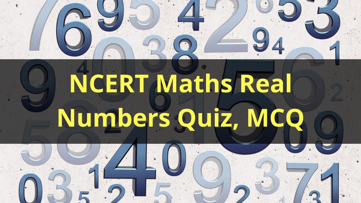 NCERT Maths Real Numbers
